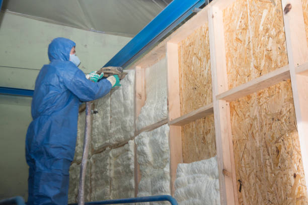 Best Spray Foam Insulation  in La Vale, MD