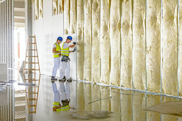 Best Commercial Insulation Contractor  in La Vale, MD